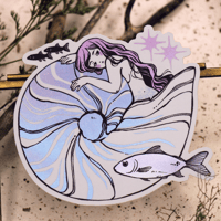 Sticker - Nautilus