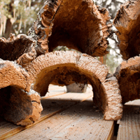 Image 3 of Cork Bark