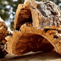 Image 1 of Cork Bark