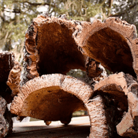 Image 2 of Cork Bark