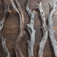 Image 3 of Isopod crafts