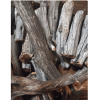 Image 2 of Manzanita Driftwood