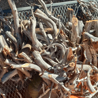 Image 3 of Manzanita Driftwood