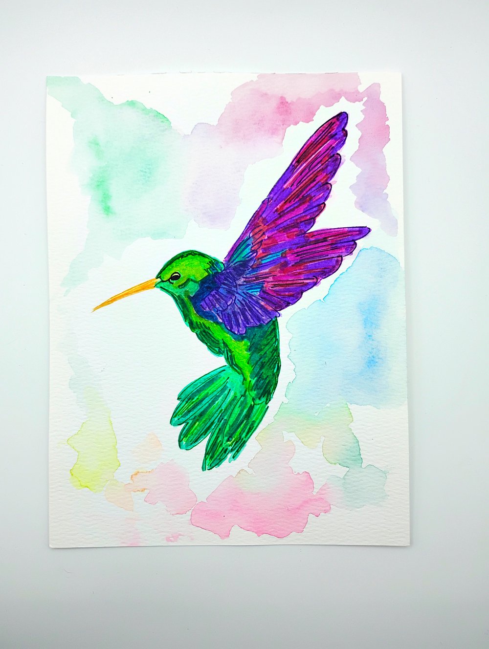 Hummingbird Watercolor