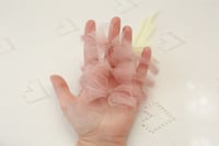 Image 4 of Wisp Bows 