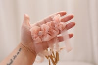 Image 3 of Chiffon Bow ~ Cream 