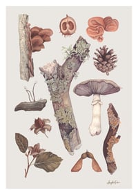 Autumn Textures A4 Print