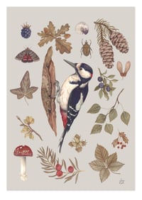 Woodpecker A4 Print