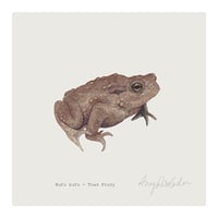 Toad Print 