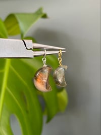 Image 1 of Labradorite Moon Charms