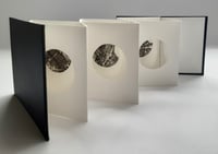 Image 3 of Flightlines