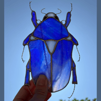 Image 4 of Scarabée doré bleu