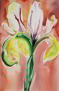 One-of-a-kind watercolor paintings by an academic painter