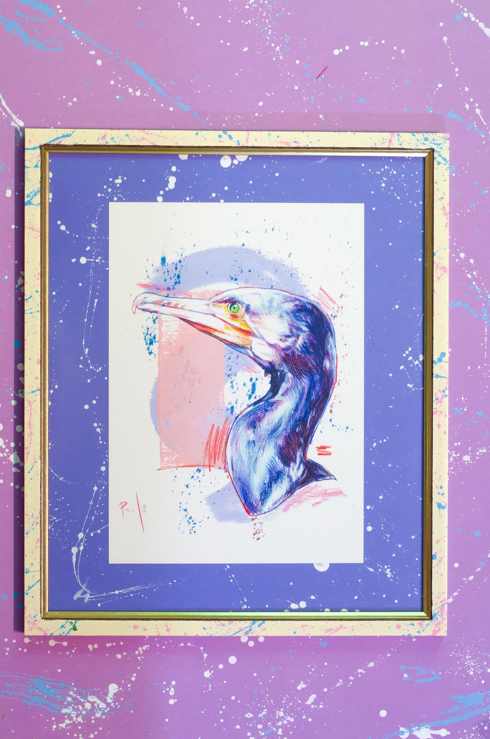Cormorant print encadré- Cormorant framed print