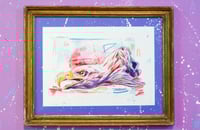 Image 1 of Aigle à queue blanche print encadré- White tailed eagle framed print