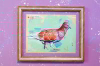 Image 1 of Colombe des rochers print encadré-Rock dove framed print