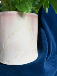 Image 3 of Homey (containers sold individually)