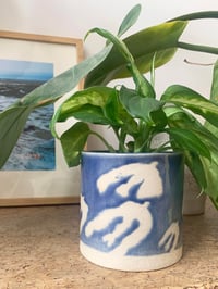 Image 4 of Homey (containers sold individually)