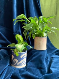 Image 1 of Homey (containers sold individually)