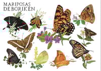 Image 2 of Póster “MARIPOSAS DE BORIKÉN” / “BUTTERFLIES OF BORIKÉN”