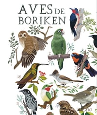 Image 2 of Póster “AVES DE BORIKÉN” / “Birds of Borikén”