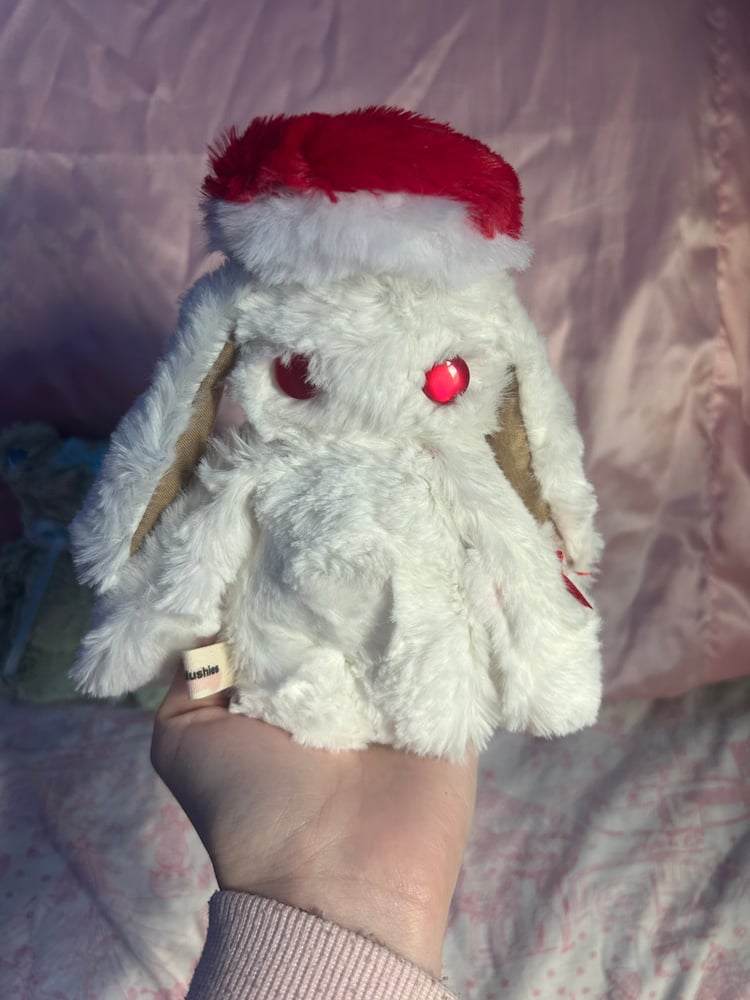 Image of seta the bunny
