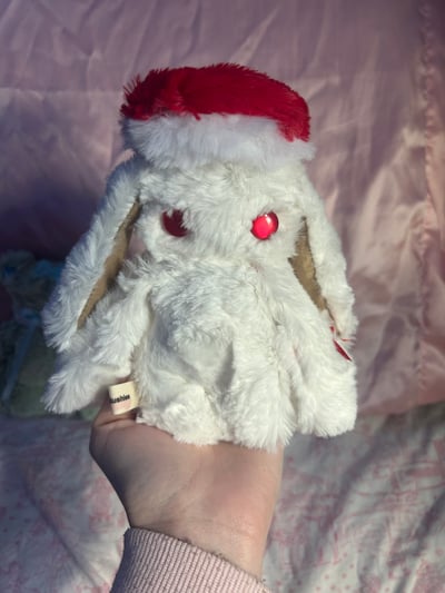 Image of seta the bunny