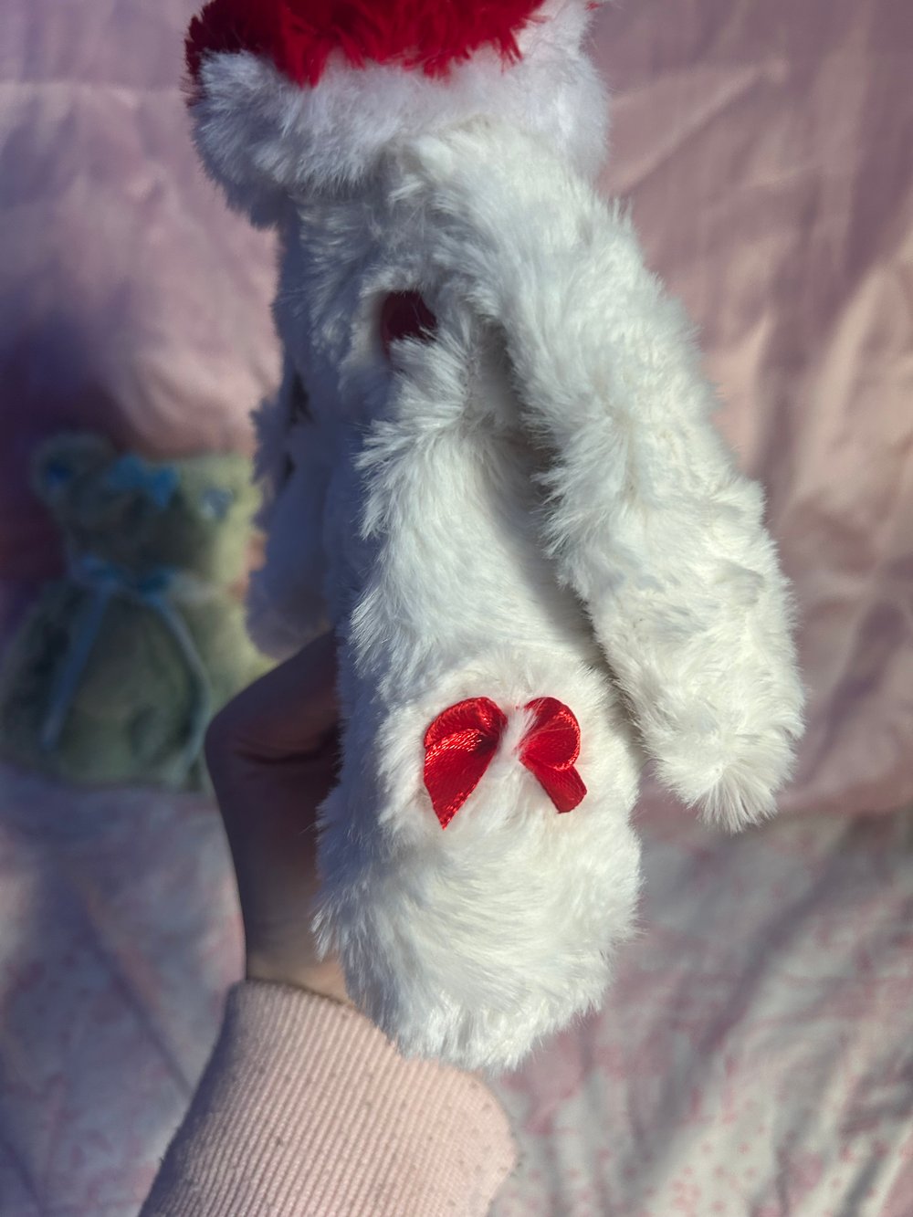 Image of seta the bunny