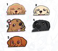 Image 2 of バディ BUDDY SKY