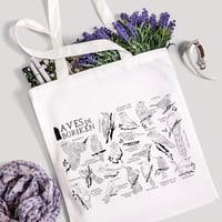 Image 1 of TOTE BAG “AVES DE BORIKÉN”