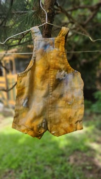 Image 2 of Cut the Mustard