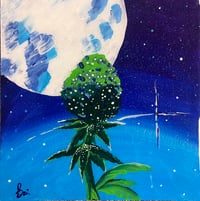 'Dream Catcher'