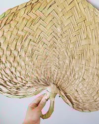 Image 4 of Vintage Palm Fans