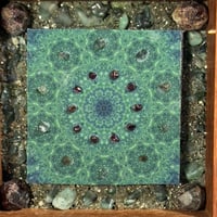 Image 2 of The Spirit of Moss