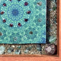 Image 4 of The Spirit of Moss