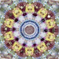 Image 2 of The Cathedral