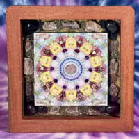 Image 1 of The Cathedral