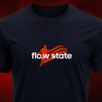 Image 1 of The Flow State