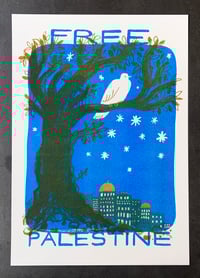 Image 2 of Sarah Dyer