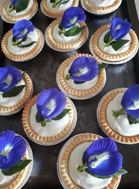 Image 4 of Australian Grown Butterfly Pea