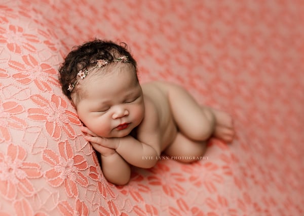 Image of Plush Coral Lace