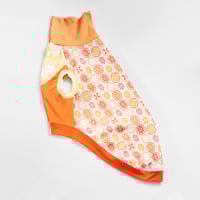 Image 1 of custom catneydogney