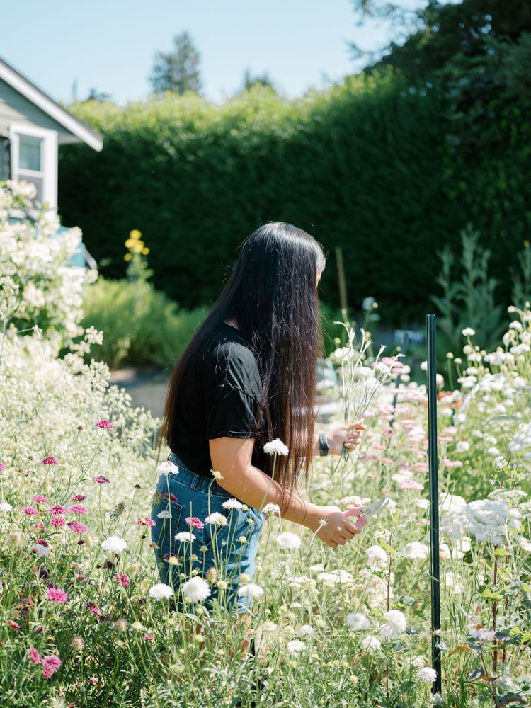 Image of Movement Study /// Flower Field Day