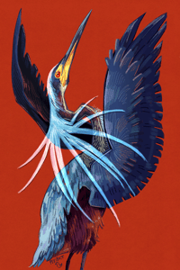 Image 2 of Agami Heron 5X7 Mini Print