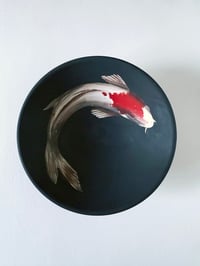 Image 1 of Koi Red Spot 13.7 cm