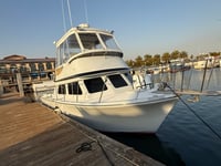 Image 2 of Ghost Sportfishing Charter Full Day December 20th
