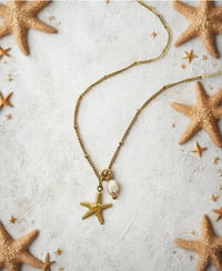 Image 2 of Sea Star