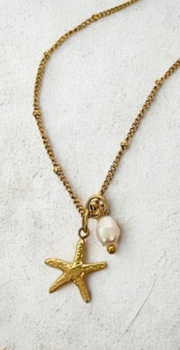 Image 1 of Sea Star