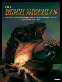 Image 2 of The Disco Biscuits (Camp Home Again • Woodstock, N. York)
