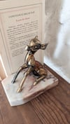 Serre livres bambi